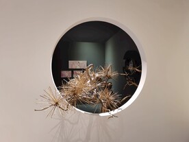 室内景观