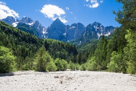 山林