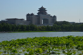 荷塘风景