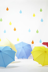 雨伞