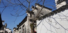 安徽徽派建筑 白墙 