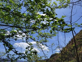 大山风景