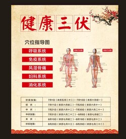三伏贴 三伏天 穴位图