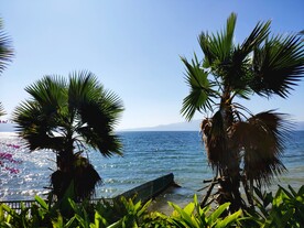 抚仙湖
