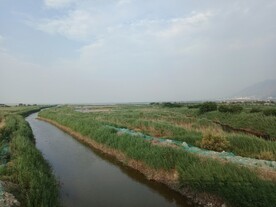 伍姓湖
