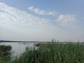 伍姓湖