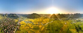 麦田 水稻 鱼米之乡 自然景观