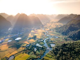 麦田 水稻 鱼米之乡 自然景观