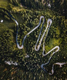 树林公路