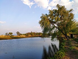 滇池湿地