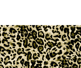 数码 印花 花卉 定位 大花 