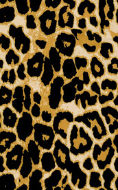 数码 印花 花卉 定位 大花 