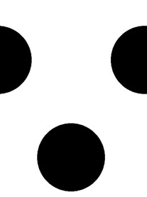 数码 印花 花卉 定位 大花 