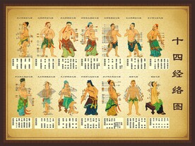 十四经络图