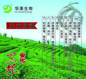 华莱