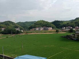 乡村田野