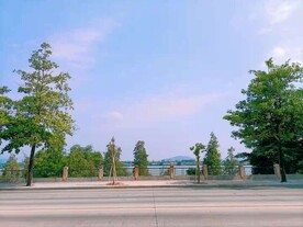 马路天空