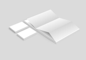 浅色背景特色单页VI的样机模板