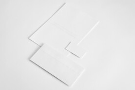 单页简约背景VIS样机展示