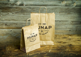 特色手提纸袋VIS样机展示