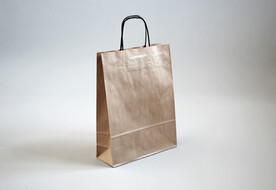 质感背景特色纸袋VIS样机展示