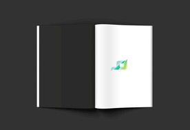 黑色背景手册VIS样机展示模板