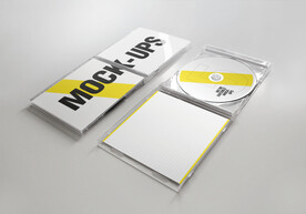 浅色背景简约碟片VI样机