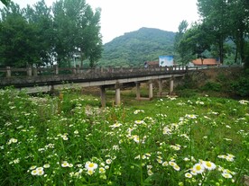 乡村小景