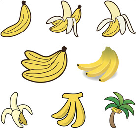 矢量香蕉