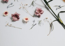 干花