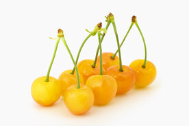 樱桃