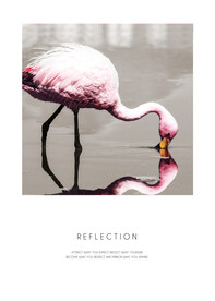 北欧火烈鸟装饰画