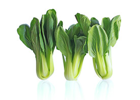 青菜白菜