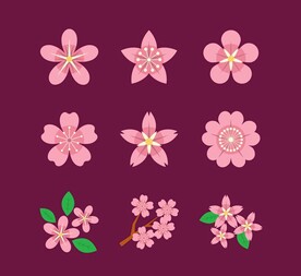 粉色樱花图标