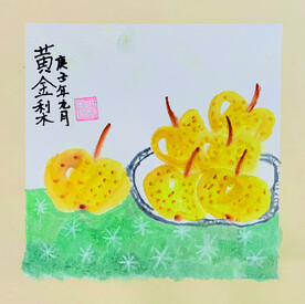 黄金梨