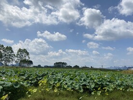蓝天 白云