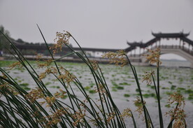苏州风光