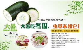 大暑吃冬瓜平面分层文件