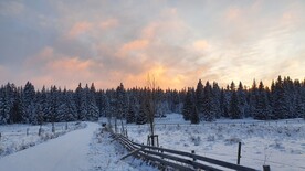 雪原
