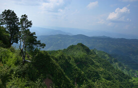 小龙岗
