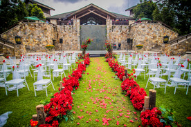 草地上的婚礼新厂
