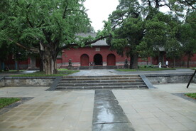 会善寺景色
