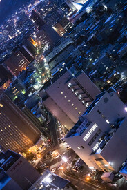 五棱郭公园塔俯瞰