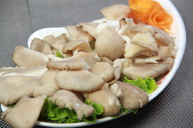平菇