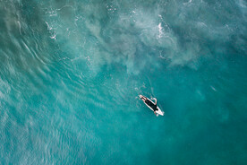 海洋 大海