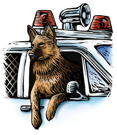 警犬