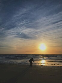 沙滩的摄影师