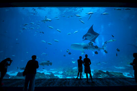 水族馆