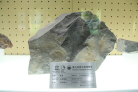 嵩山地质标本