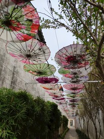 花伞